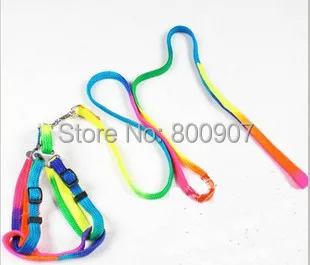 Collar de correa ajustable para perro, accesorios de nailon para cachorro, gato, arnés, correa de mano de Color arcoíris de plomo - imagen 5