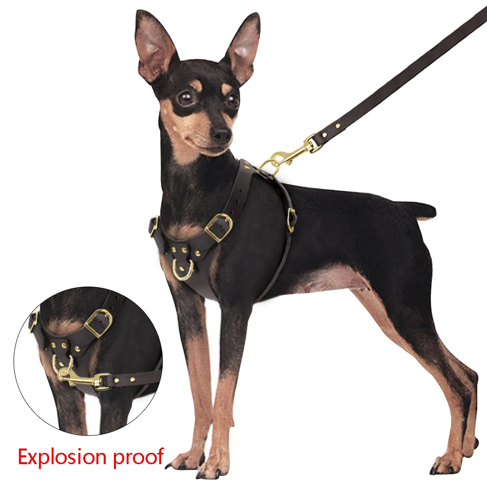 Pit Bull-arnés de cuero genuino para perro, conjunto de correa sin tirones para mascotas, chaleco de plomo para perros pequeños y medianos - imagen 4