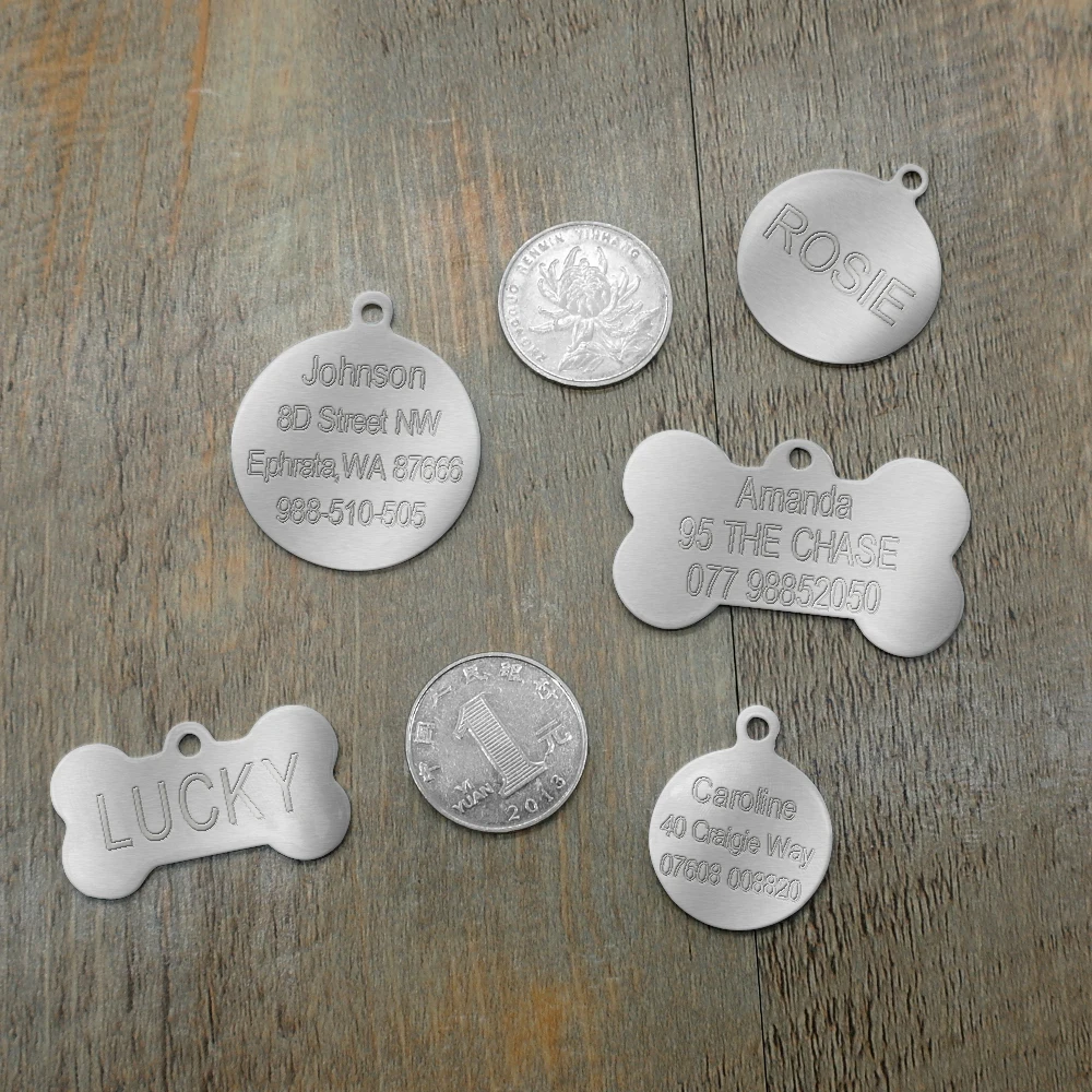 Etiqueta de identificación personalizada para perro, accesorio de acero inoxidable, antipérdida, con silbato de Entrenamiento gratis - imagen 4