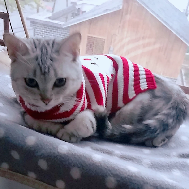 TB2hRn6XmrqK1RjSZK9XXXyypXa_!!0-rate