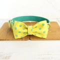 Dog Collar Bow Tie