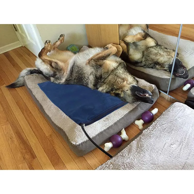 Manta eléctrica para mascotas, estera de cama para perros y gatos, almohadilla cálida para casa de perros para cachorros, gatitos, perros grandes, almohadilla calefactora para el hogar, cojín, envío directo - imagen 2