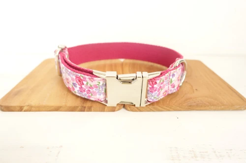 Dog Collar