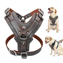 Arnés de cuero para perros grandes – Ajustable y resistente