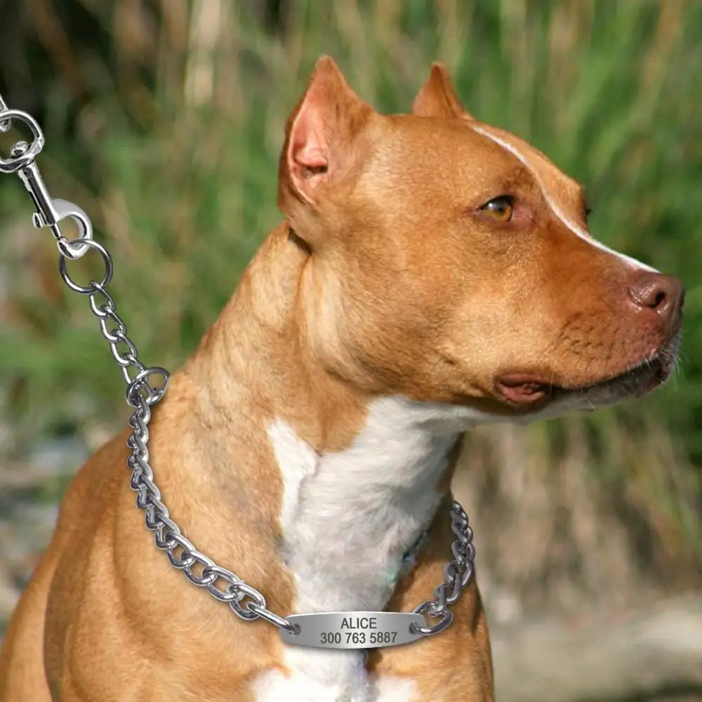 Collar antideslizante de cadena para perros de compañía personalizado, collares de identificación grabados para entrenamiento de mascotas, Gargantilla para perros medianos y grandes, Pitbull Bulldog - imagen 4
