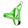 Green Harness