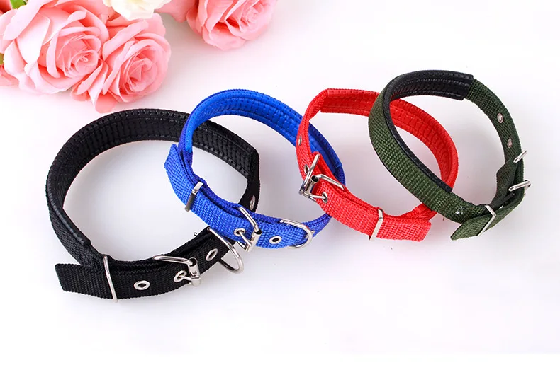 Collar Perro Correa Nailon Ajustable - uso en perro pequeño