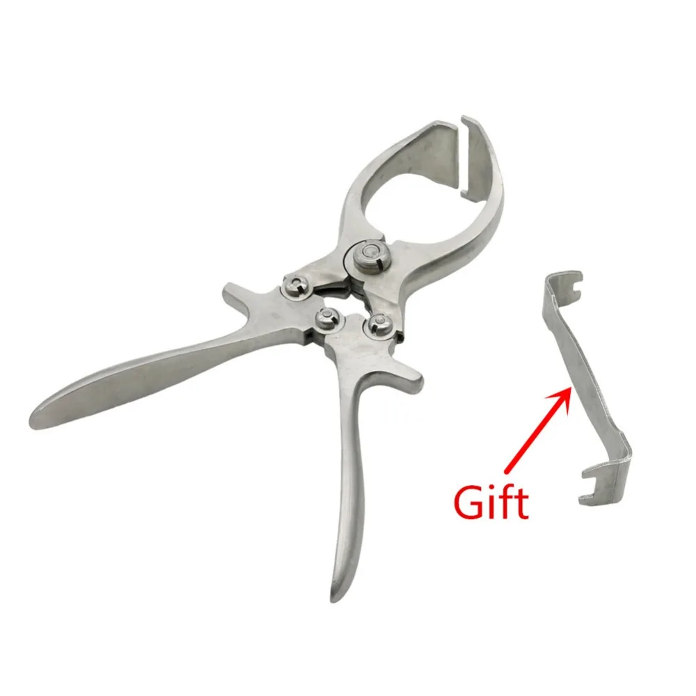 1 Uds. Abrazadera de castración de oveja y cerdo sin sangre de acero inoxidable herramienta de castración pinzas de castración herramientas especiales veterinarias - imagen 3