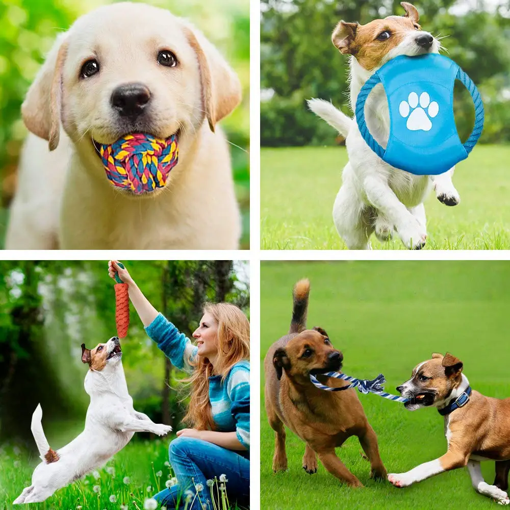 12Pcs Large Dog Toy Sets Chew Rope Toys for Dog Chewing Toys for Dog Outdoor Teeth Clean Toy for Big Dogs Juguete para Perros - imagen 4