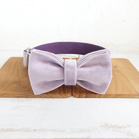 Dog Collar Bow Tie