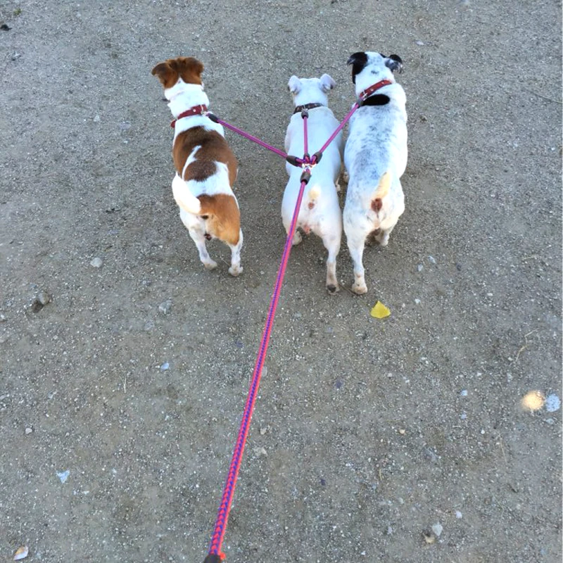 Acopladores de 3 vías para caminar para mascotas, cuerda trenzada de nailon largo de 55 ", correa para 3 perros, arnés para perros pequeños - imagen 4