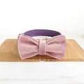 Dog Collar Bow Tie