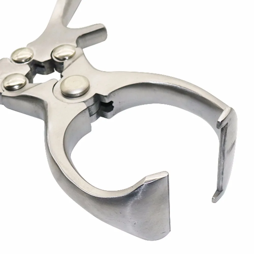 2 piezas ganado herramientas de acero inoxidable sin sangre de cerdo oveja la castración de la abrazadera de La castración herramienta de la castración fórceps de animales de granja - imagen 4