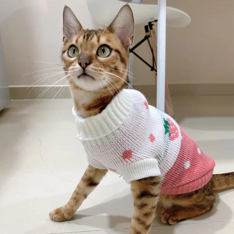 Ropa cálida de invierno para gatos Sphynx, suéter tejido para cachorros y gatitos, sudaderas con capucha para perros pequeños Sphinx, ropa para gatos, disfraces de Chihuahua y Pug - imagen 4