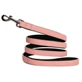 Pink Leash