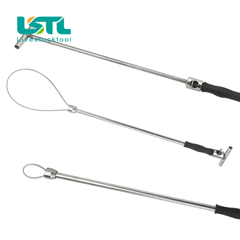 Poste receptor de cerdos de acero inoxidable, dispositivo de Baording, equipo fijo de cría de animales, equipo de cría de animales, D9 - imagen 4