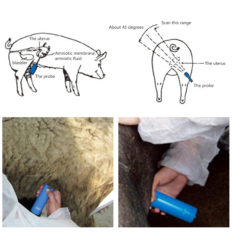 Detector de embarazo por ultrasonido portátil, máquina de prueba para cerdas de cerdo, oveja, cabra, ganado, dispositivo veterinario - imagen 4
