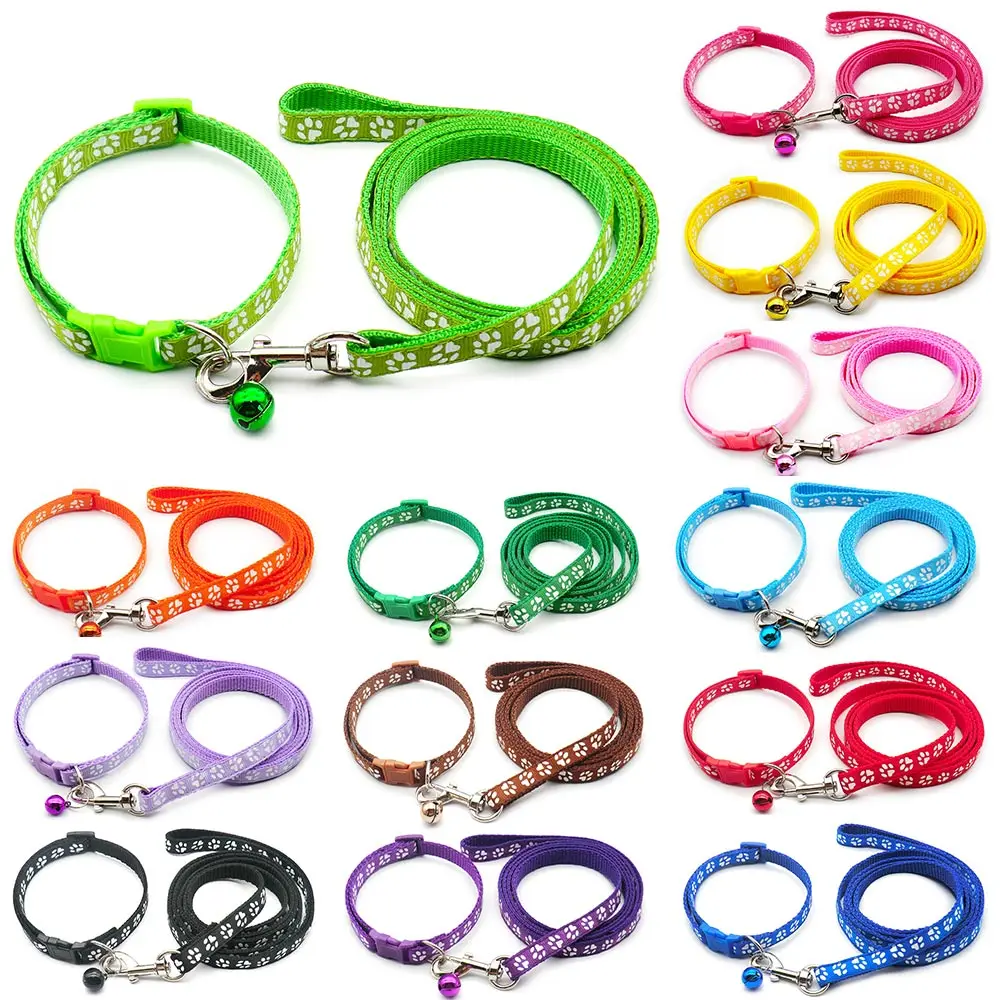 Correa extensible 5 metros para perros – Ajuste regulable para paseo - imagen 3
