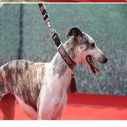 Collar étnico de piel de oveja para perros con borlas suaves