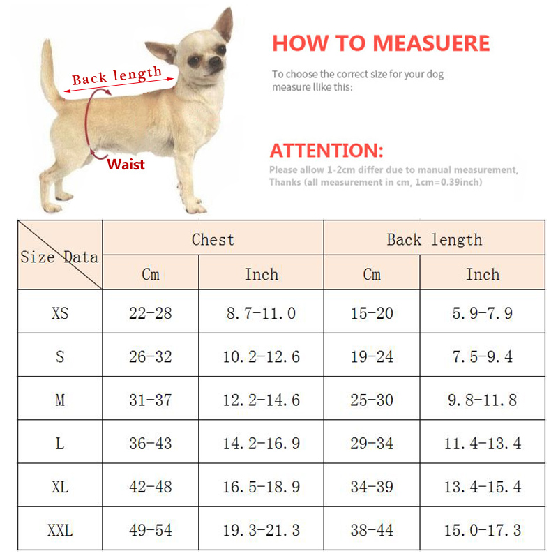 XLeiPet bulldog york terrier - detalle