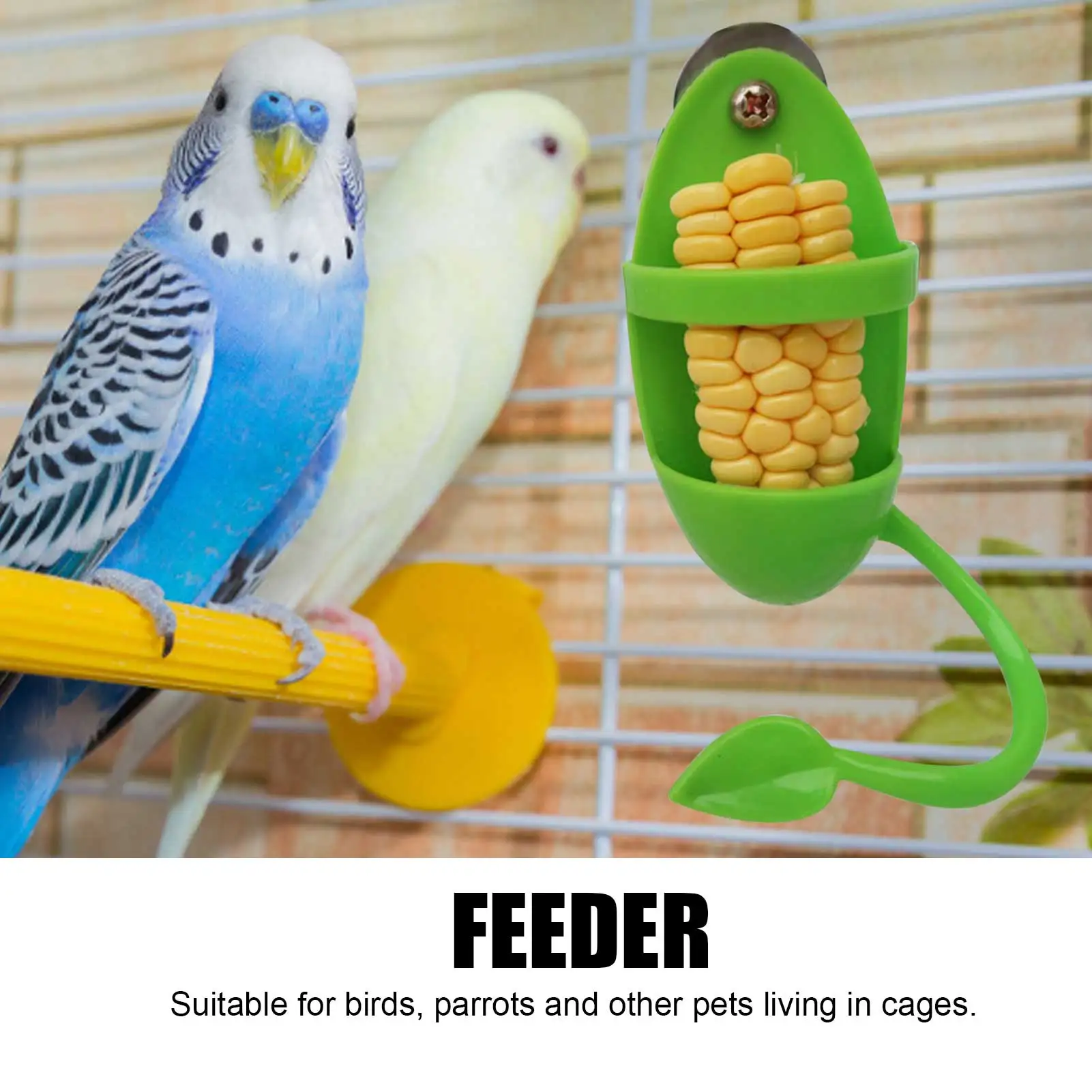 Alimentador de aves y loros, estante de comida de hueso de sepia, juguete para aves, suministros para loros, cesta de verduras y frutas, contenedor de alimentos - imagen 4