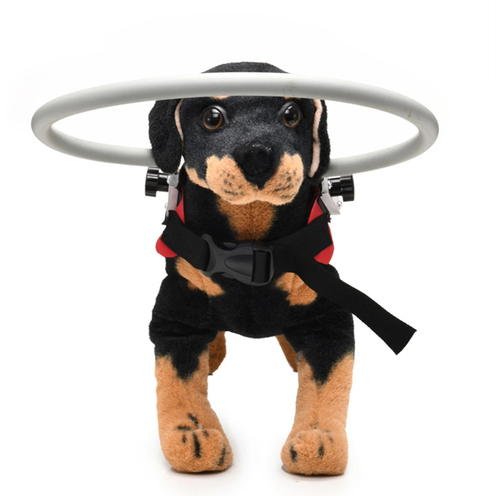 Anillo anticolisión con Halo para perro ciego, arnés protector ajustable, círculo guía para gatos y perros ciegos, seguro para caminar al aire libre - imagen 3