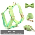 Harness 4pcs Set