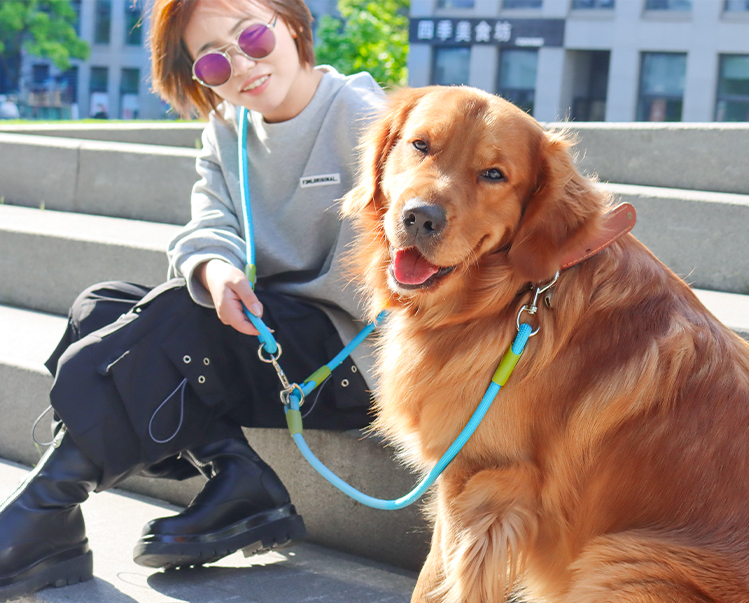 Diferentes colores disponibles - variedad