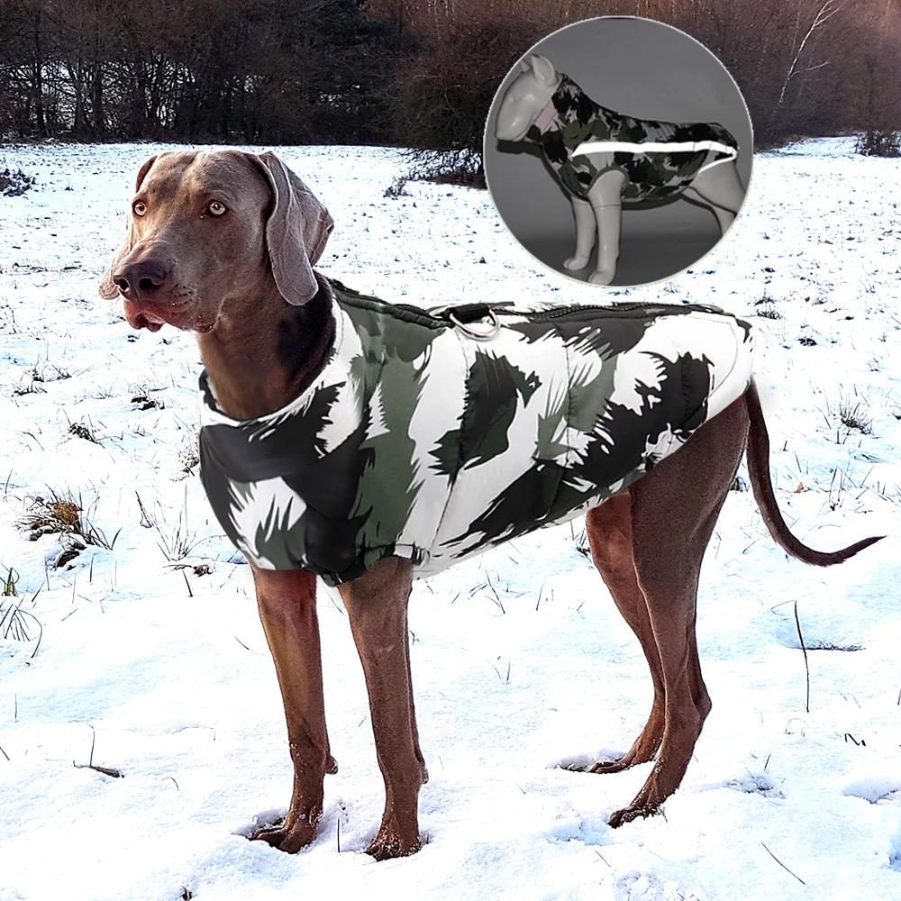 De invierno para mascotas ropa de perro francés mascota Bulldog chaqueta impermeable ropa de perro atuendo con chaleco pequeño mediano para perros - imagen 3
