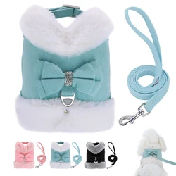 Arnés con lazo para perros pequeños y gatos - conjunto de correa
