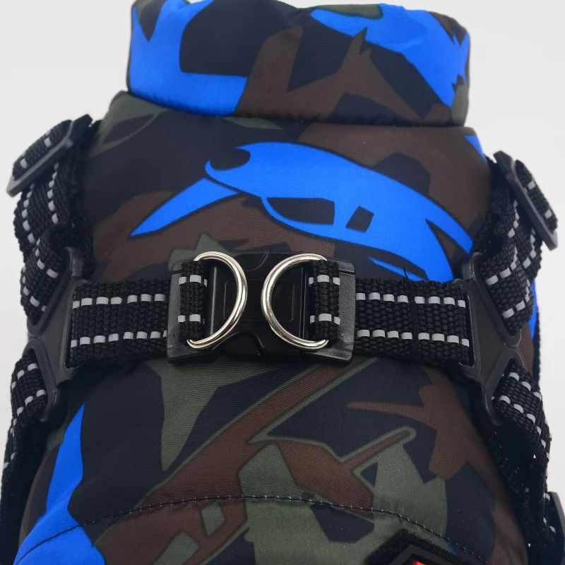 Perro pequeño usando chaleco de invierno verde con arnés