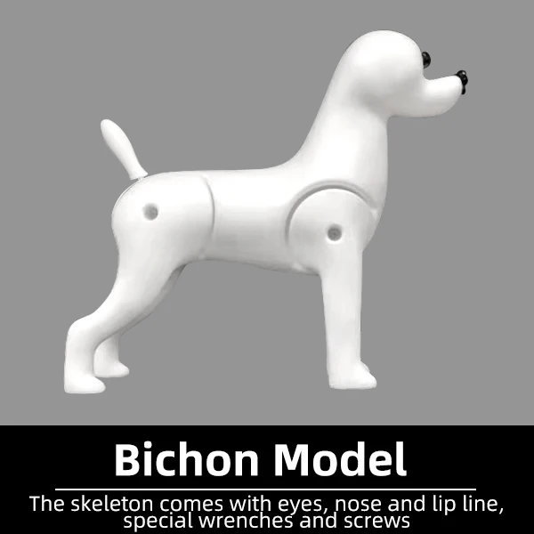 Bichon skeleton only
