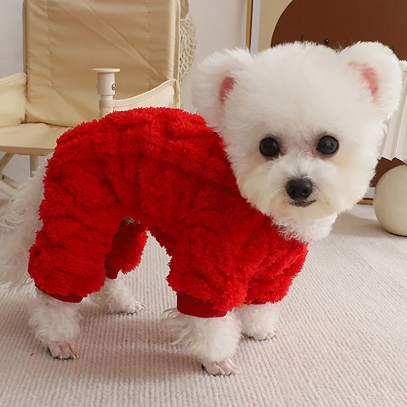 Un pequeño perro blanco con un suéter rojo