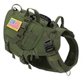 Green Harness Bag-US