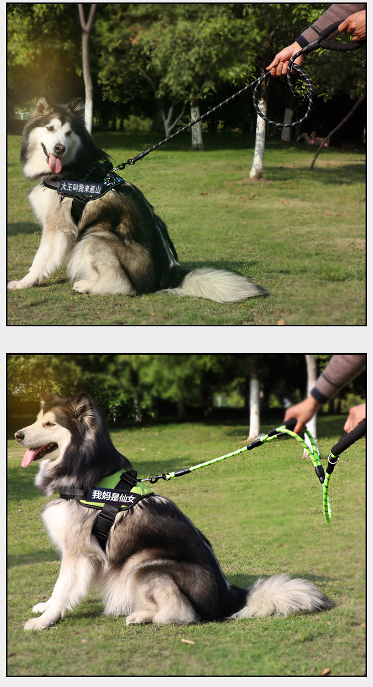 Correa Reflectante para Perros - uso en perro grande