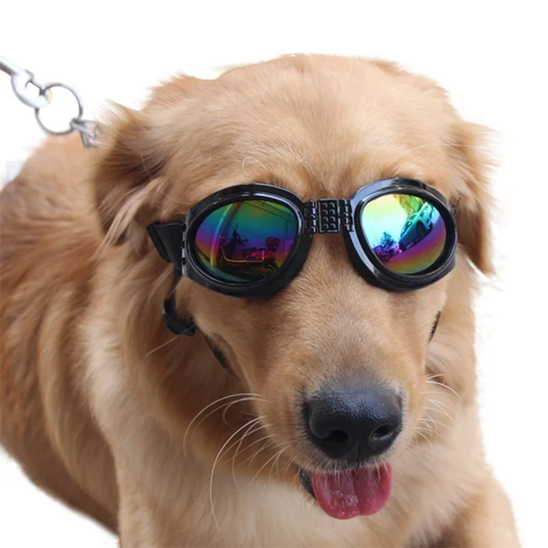 Gafas de Sol para Ciclismo con Lentes Ajustables para Perros y Gatos - imagen 3