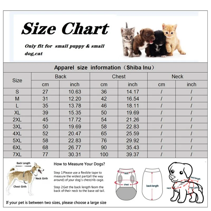 Perro con chaqueta de invierno para paseo en días fríos