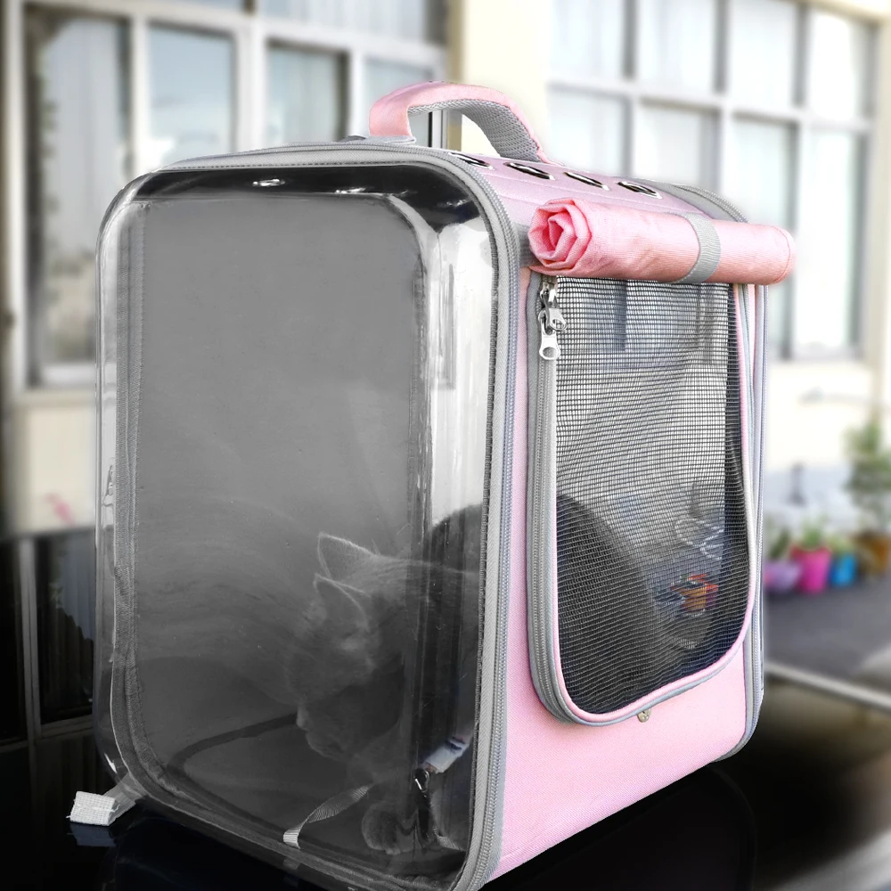 Una maleta rosa con un gato adentro