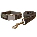 Dog Collar Leash Set
