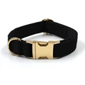 Collar Gold Buckle