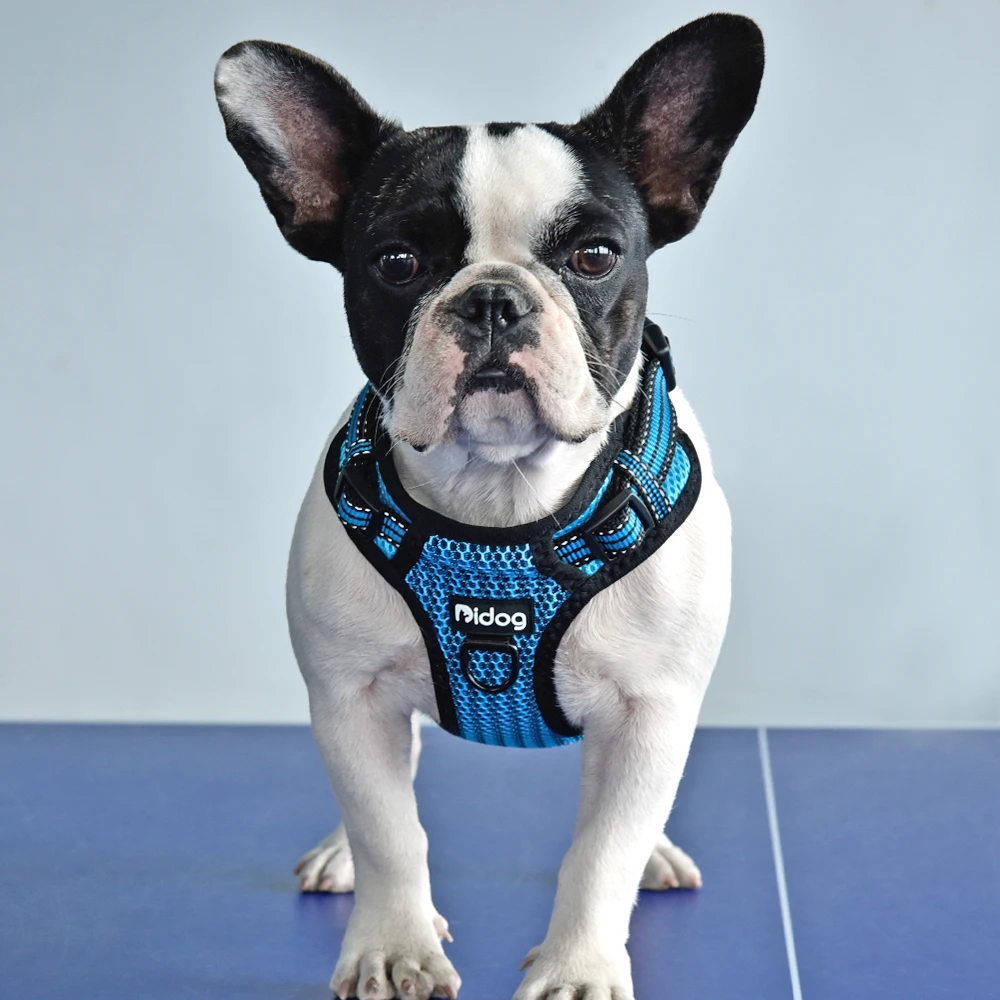 Arnés Reflectante de Nailon Sin Tirones para Perro con Chaleco de Seguridad Ajustable - imagen 5