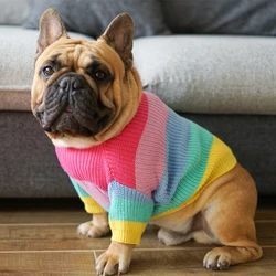 Suéter arcoíris para Bulldog francés – Ropa de invierno y Navidad