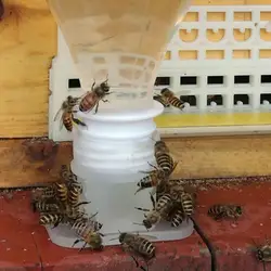 Alimentador y bebedero para reina deabejas – Kit apícola completo