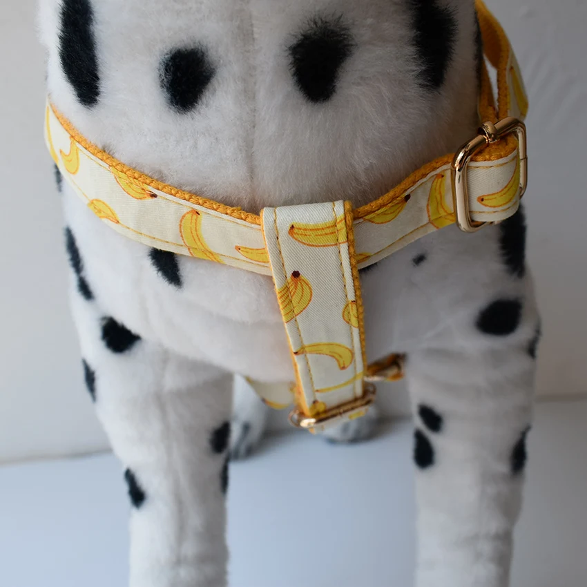 Arnés con grabado personalizado para perro, collar ajustable con correas impresas para identificación de mascotas, pequeños y medianos para cachorros, Teddy Bulldog - imagen 5