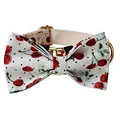 Bow Collar