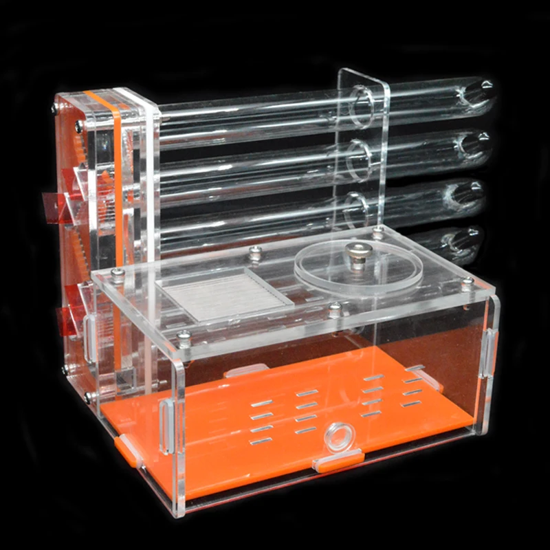 Hormigas usando la granja de hormigas DIY