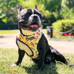 Arnés chaleco verano para perros, transpirable y cómodo para paseos