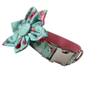 Flower Dog Collar