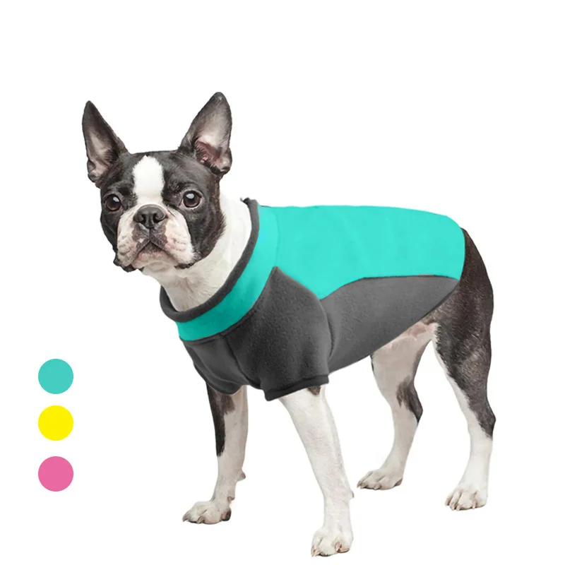 Un perro pequeño con un suéter azul y negro