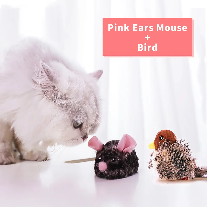Pink Mouse Bird